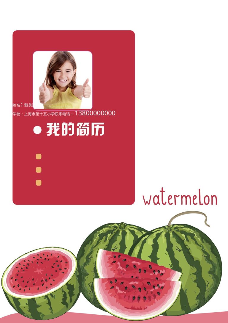个人求职简历范文小升初简历144.docx