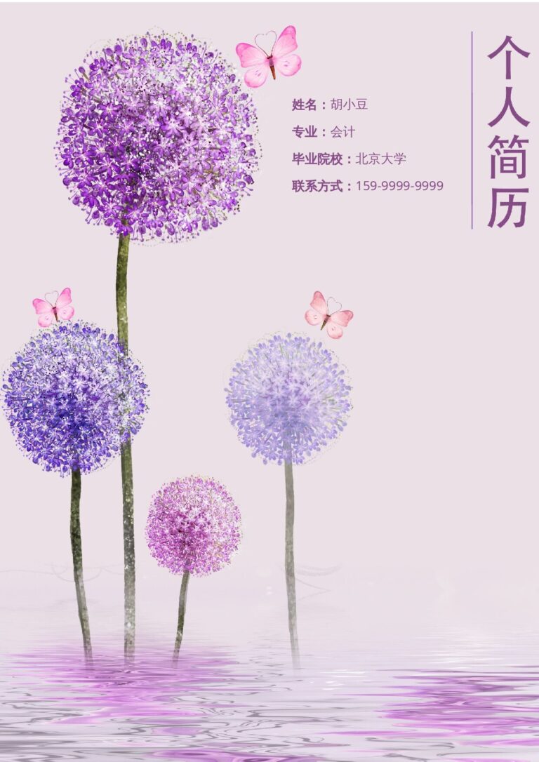 大学生简历模板三页099-封面+内容+自荐信.docx